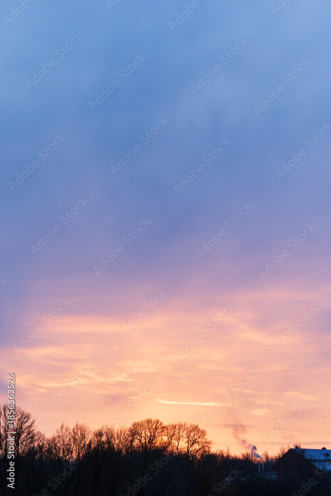 Fototapeta premium Dramatic pastel sunset sky above dark winter trees and distant buildings