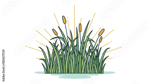 A vibrant cluster of cattails with green leaves and brown flower spikes growing in shallow water on a sunny day