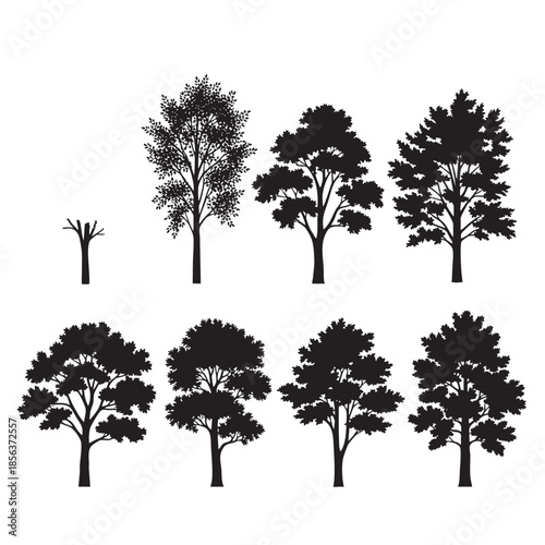 Collection of various tree silhouettes with different shapes and sizes