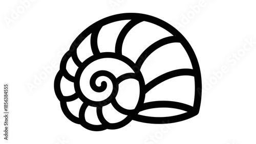 Black and White Nautilus Shell Illustration.
