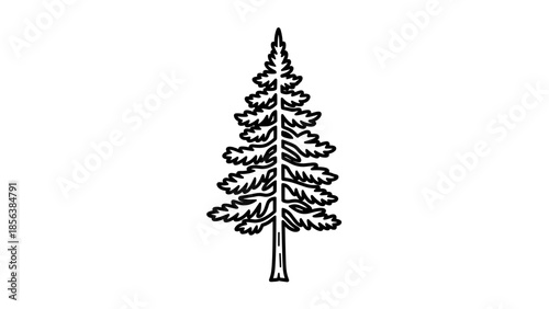 Simple Black and White Fir Tree Illustration.
