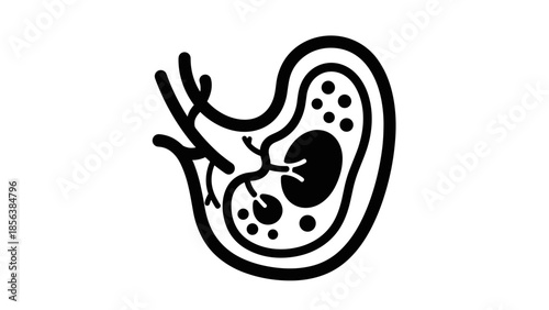 Simple Black and White Kidney Illustration.