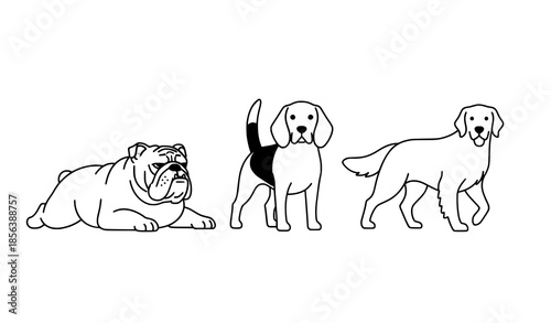 Flat cartoon dog breeds vector set showing different poses and popular dog types
