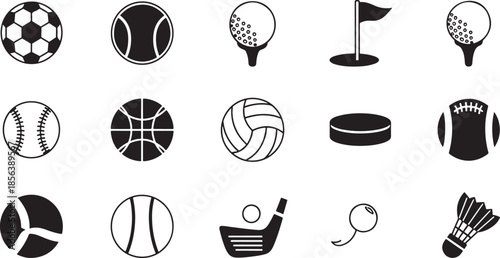 Sports balls and rackets black white