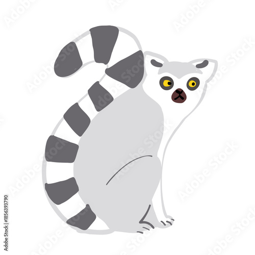 特徴がわかる ワオキツネザルのシンプルなイラスト / Simple ring tailed lemur illustration