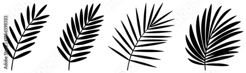 Black silhouette palm leaf variations white background