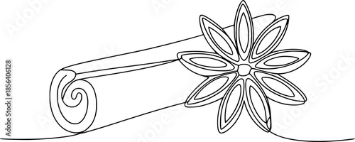 Minimalist black of a cinnamon stick and star anise spice white food