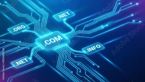 Digital Network Processor Connecting Top Level Domains