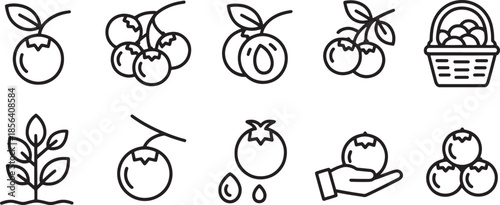 Collection of nine black outline icons depicting fruits plants and a basket berry