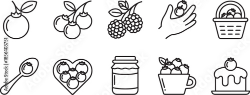 Collection of nine minimalist black and white outline berry icons blueberry raspberry