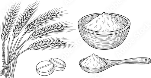 Wheat ears and flour illustration set, cereal grain harvest elements, baking ingredient concept, organic food, black and white line art