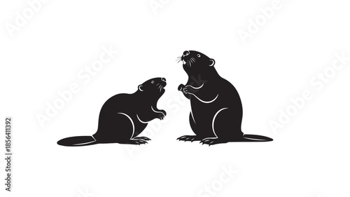 Two seals looking at each other