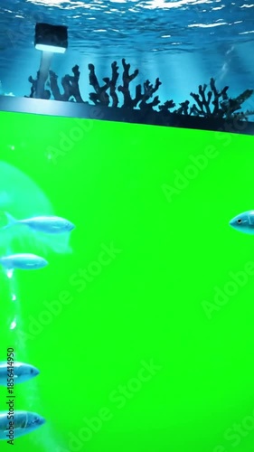 Aquatic_Life aquatic horizon haze scene 3 with aquatic horizon haze effect aquatic_life style featuring cinematic, 4k, stock footage,