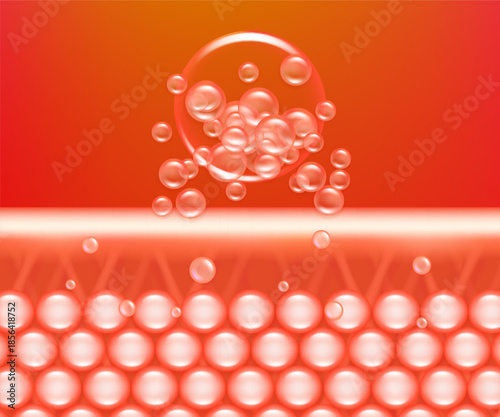 Hyaluronic acid and Niacinamide gray hair and skin solutions ad, red collagen serum drops into skin cell with cosmetic advertising background ready to use, illustration vector.