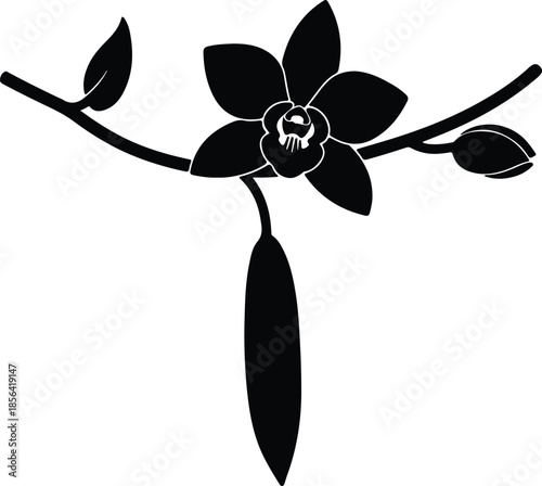 Silhouette Beautiful Orchid Flower With Vanilla Bean Pod And Bud Branch Vector Illustration