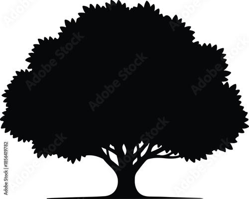 Silhouette of a lush leafy tree with thick branches Vector Illustration