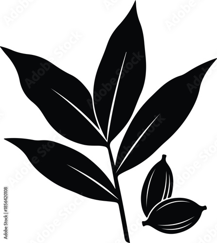 Silhouette of cardamom pods and leaves vector illustration