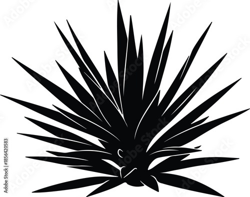 Silhouette spiky agave plant desert flora vector illustration