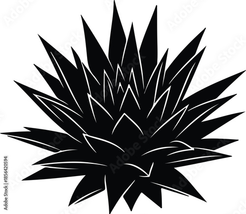 Silhouette spiky succulent plant desert flora Vector Illustration