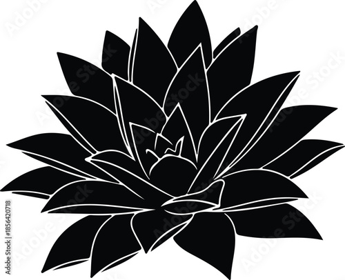 Silhouette stylized succulent plant blooming top view Vector Illustration