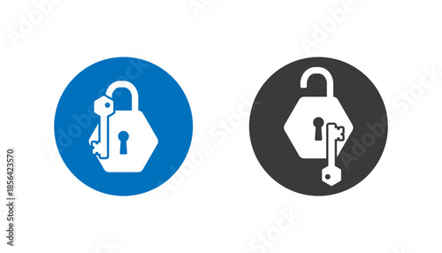 Open padlock and key icon representing security solution or successful access