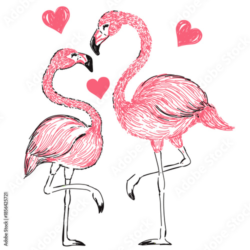 flamingo bird girls t shirt print illustration