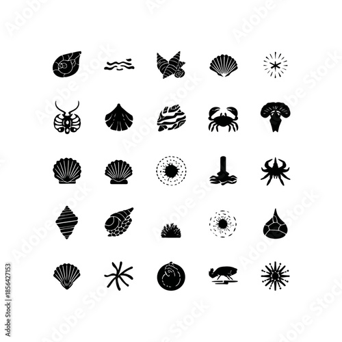 Black and white vector icons of seashells starfish and marine life