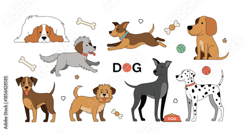 Large set of various dog breeds in different poses like sitting and running along with pet accessories such as bones and play balls.