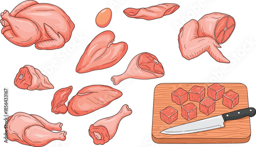 Raw chicken meat cuts illustration, fresh poultry parts, whole chicken, sliced pieces, butcher board, cooking ingredients, food artwork