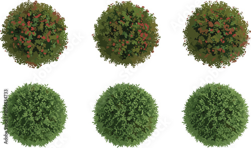 Top view round bushes and shrubs set, realistic green foliage spheres for landscape design, garden planning, and nature illustrations