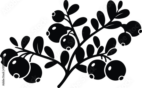 Silhouette of a cranberry branch with ripe berries Vector Illustration