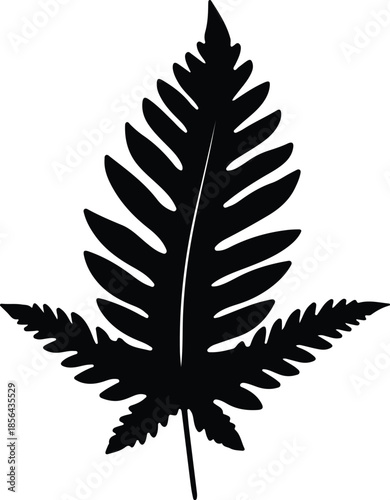 Silhouette of a detailed fern leaf isolated on white background Vector Illustration