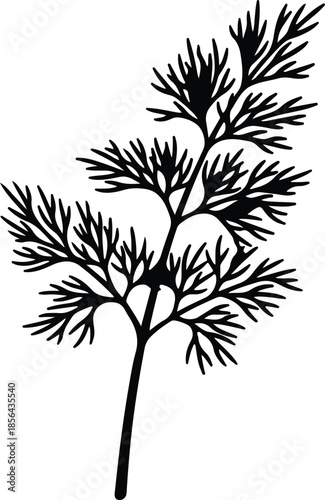 Silhouette of a dill sprig with delicate feathery leaves Vector Illustration