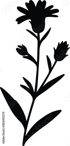 Silhouette of a flowering plant with buds Vector Illustration