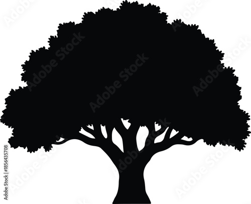 Silhouette of a large deciduous tree with full canopy Vector Illustration