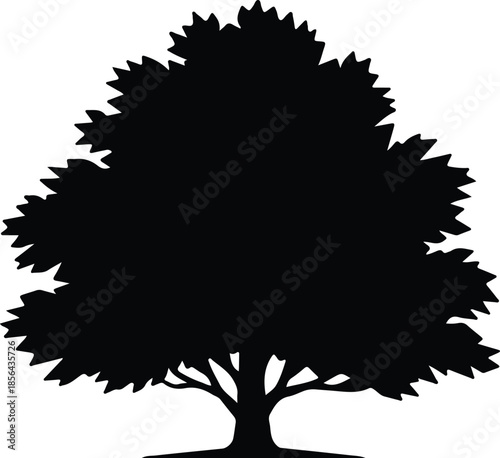 Silhouette of a large deciduous tree with lush foliage Vector Illustration