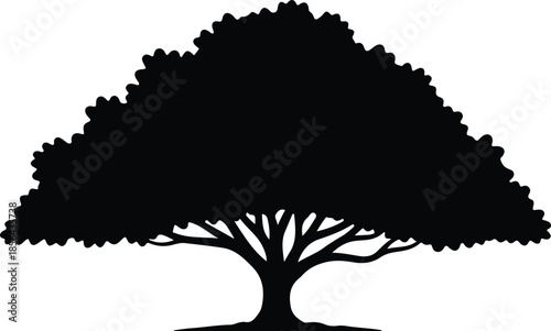 Silhouette of a large mature oak tree with lush foliage Vector Illustration