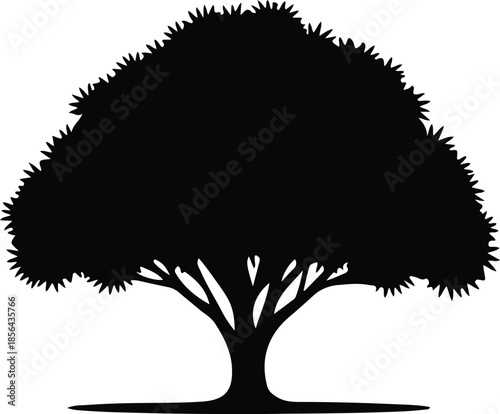Silhouette of a leafy tree with a thick trunk Vector Illustration