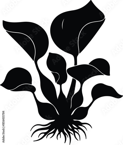 Silhouette of a lush green plant with large leaves and roots Vector Illustration