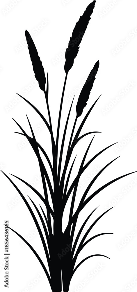 Obraz premium Silhouette of cattail plants with long leaves and fluffy tops Vector Illustration