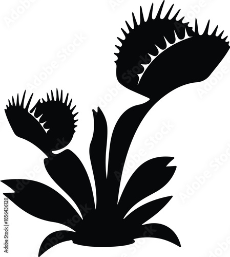 Silhouette of a Venus flytrap plant with open traps Vector Illustration
