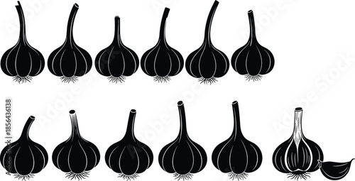 Garlic, bulb, clove, illustration, botanical, food, vegetable, black, white, stylized, cut, anatomy, culinary, graphic, concept, design, minimal, organic, set, sketch, outline