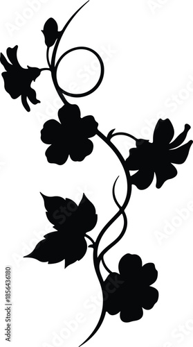 Silhouette of blooming flowers on a vine with leaves vector illustration