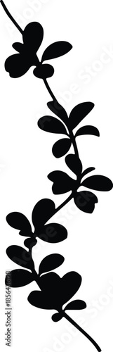 Silhouette of delicate plant stem with leaves Vector Illustration