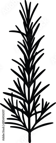 Silhouette of fresh rosemary herb sprig isolated on white background Vector Illustration