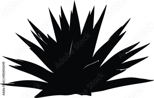 Silhouette of spiky agave plant viewed from top Vector Illustration