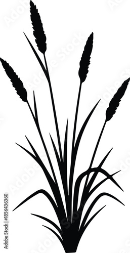 Silhouette of tall grass with seed heads Vector Illustration