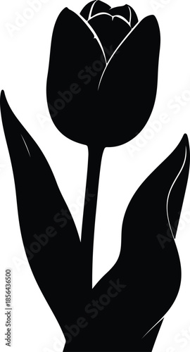Silhouette single tulip flower with two leaves Vector Illustration