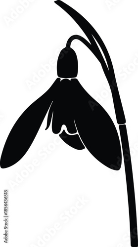 Silhouette snowdrop flower stem and leaf vector illustration