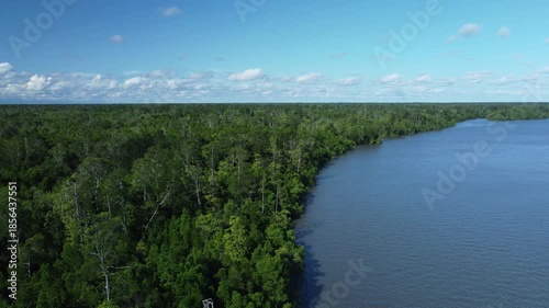 The Amazon River flows through a lush green jungle landscape. The Amazon rainforest in Manaus, Amazonas.
